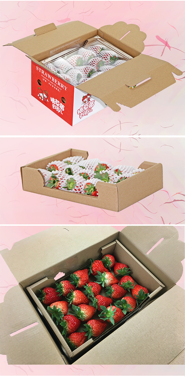 草莓箱