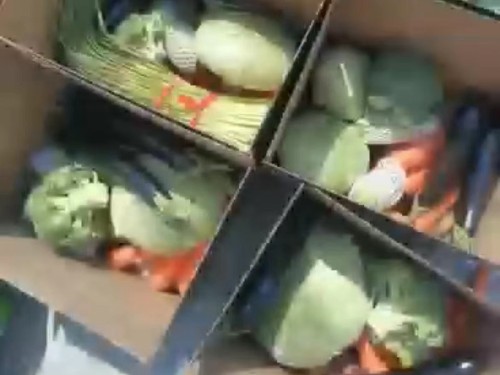 风雨同舟！优品包装紧急制作数万个蔬菜包装箱驰援上海